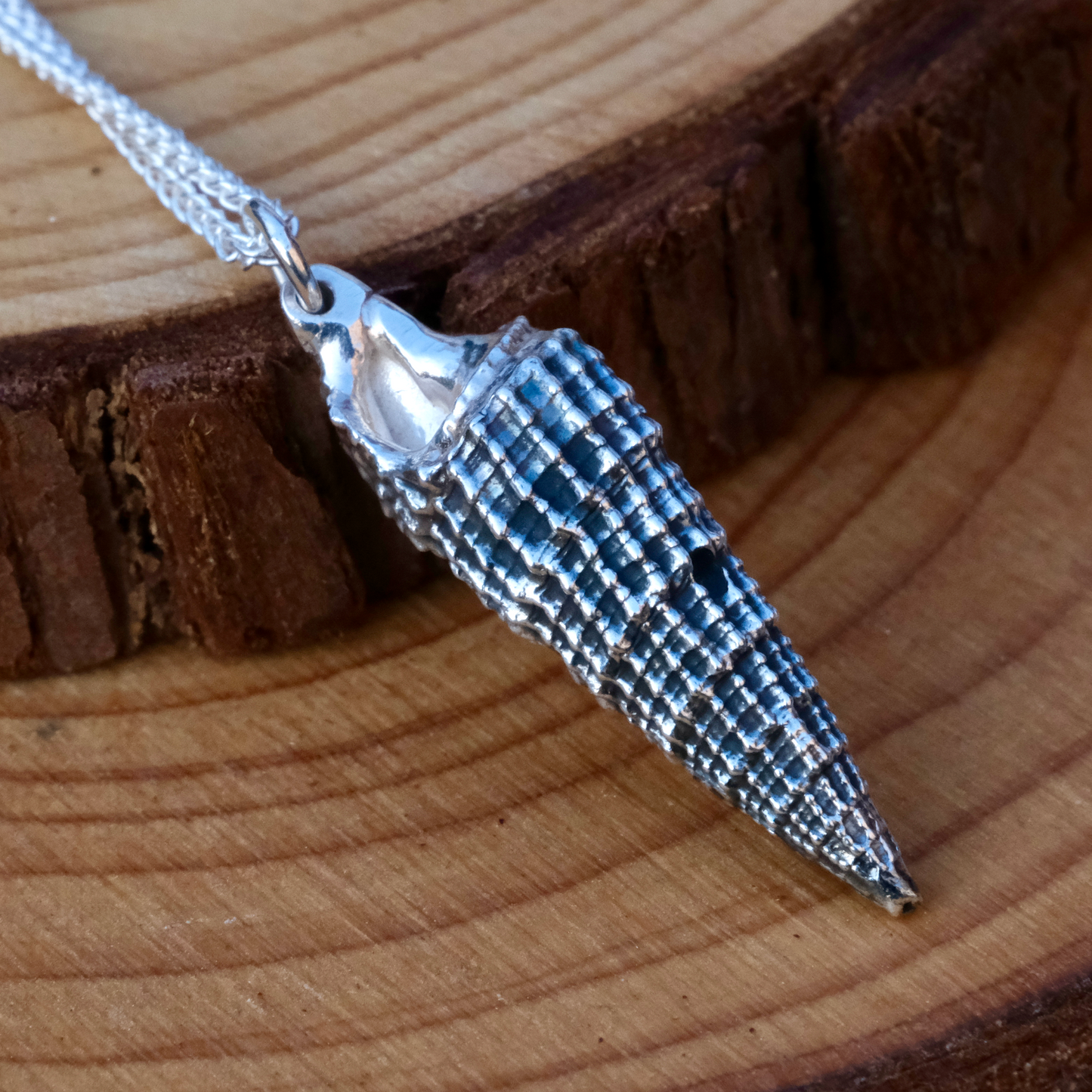 Large conch shell pendant