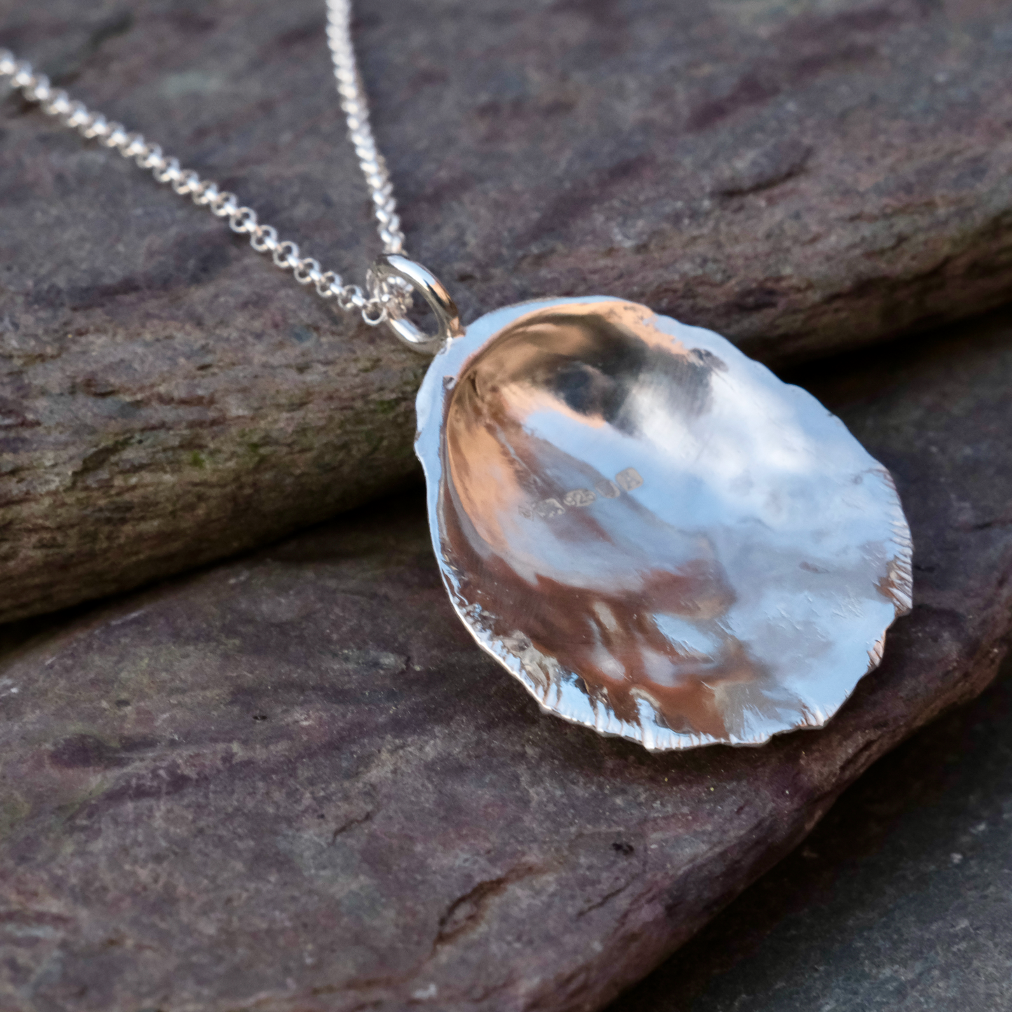 Scallop shell pendant